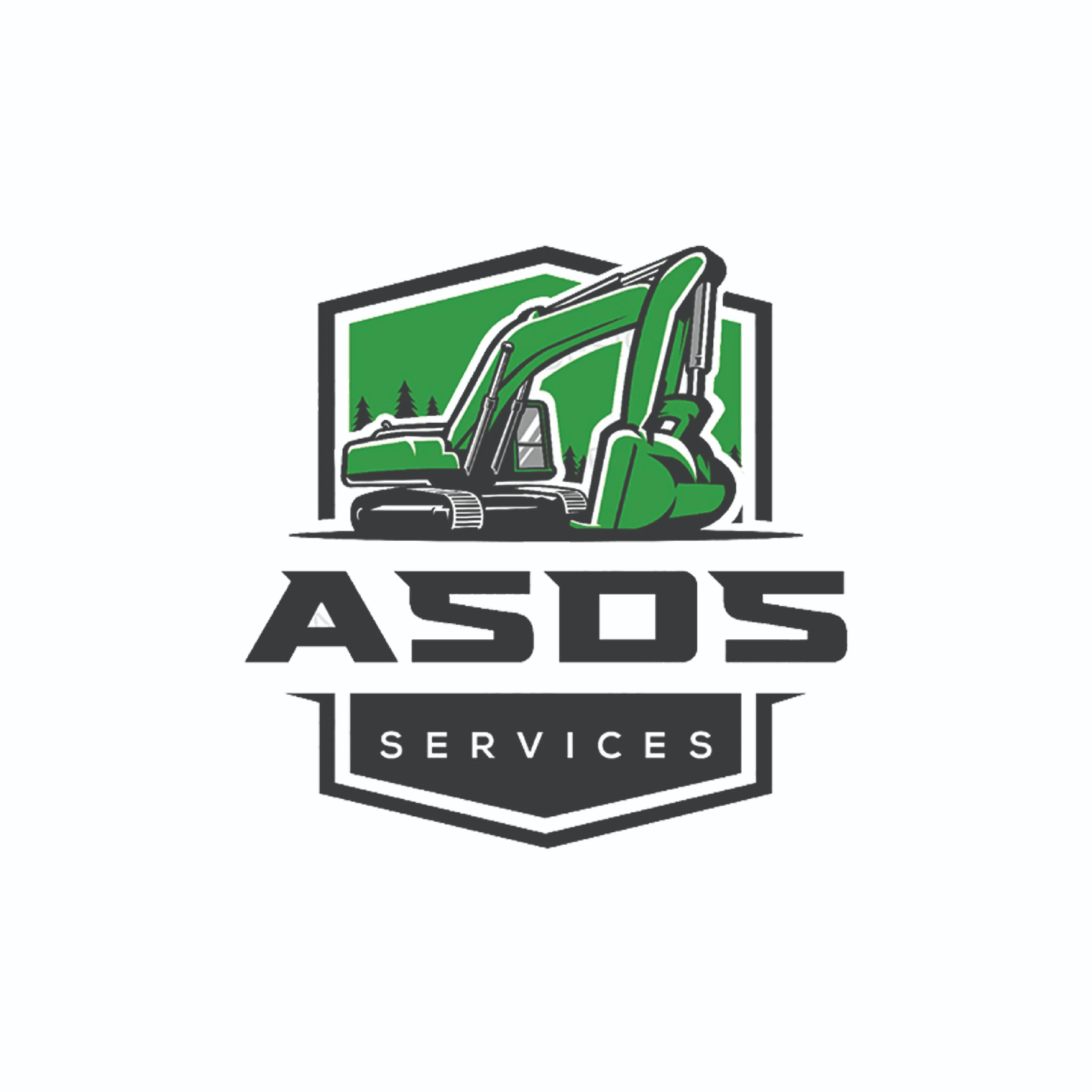 asds services